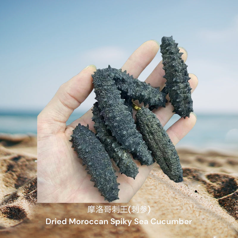 摩洛哥刺王(刺参) / Dried Moroccan Spiky Sea Cucumber
