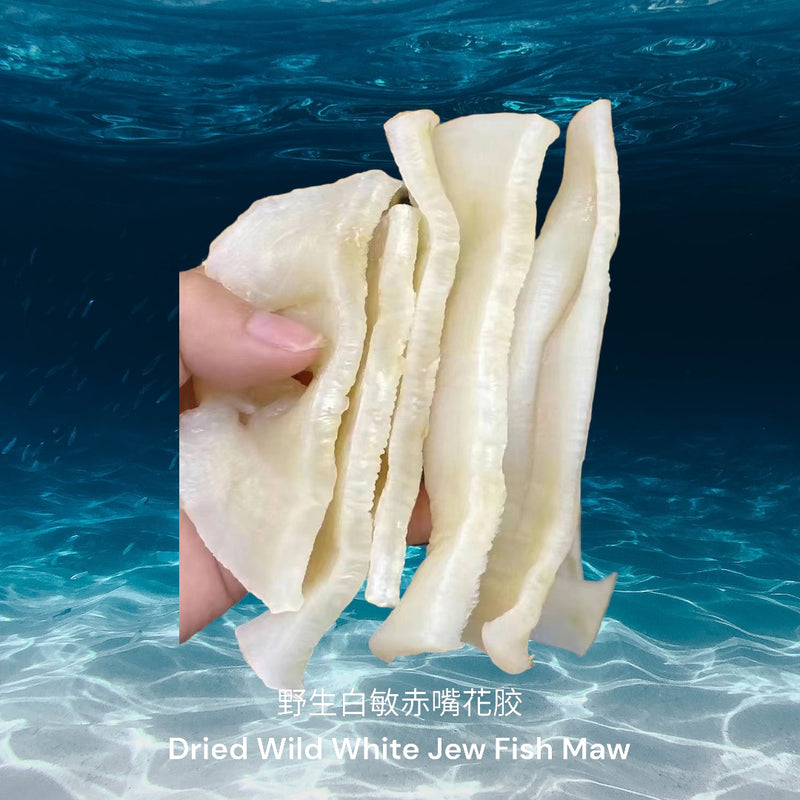 野生白敏赤嘴花胶/ Dried Wild White Jew Fish Maw
