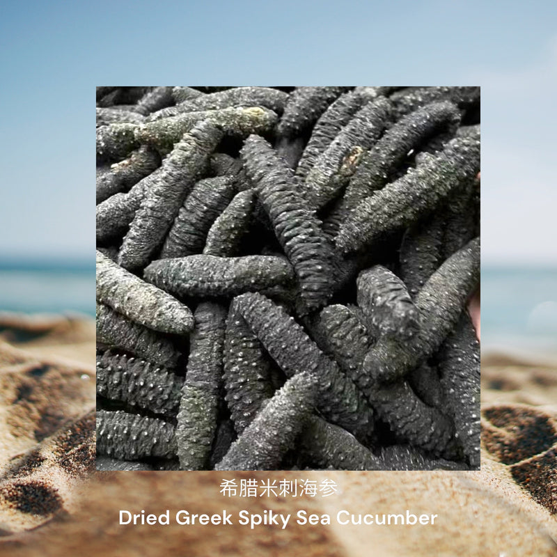 希腊米刺海参/ Dried Greek Spiky Sea Cucumber