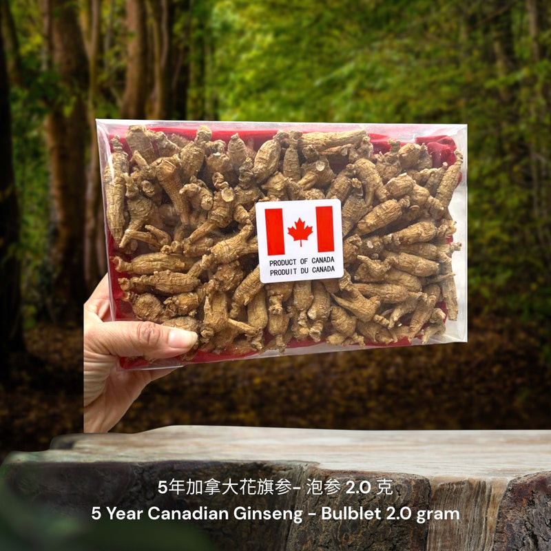 5年加拿大安省花旗参-泡参/ 5 Year Canadian Ginseng - Bulblet
