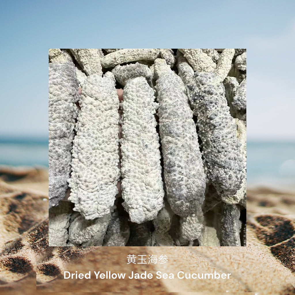 黄玉海参/ Dried Yellow Jade Sea Cucumber