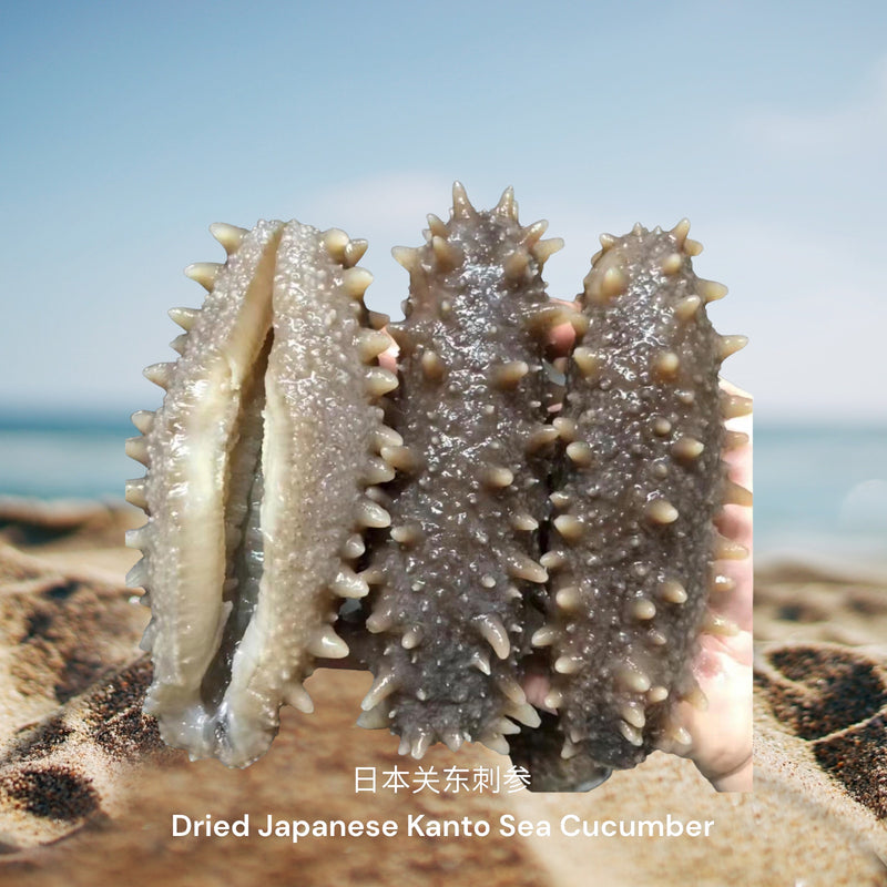 日本关东刺参 / Dried Japanese Kanto Sea Cucumber