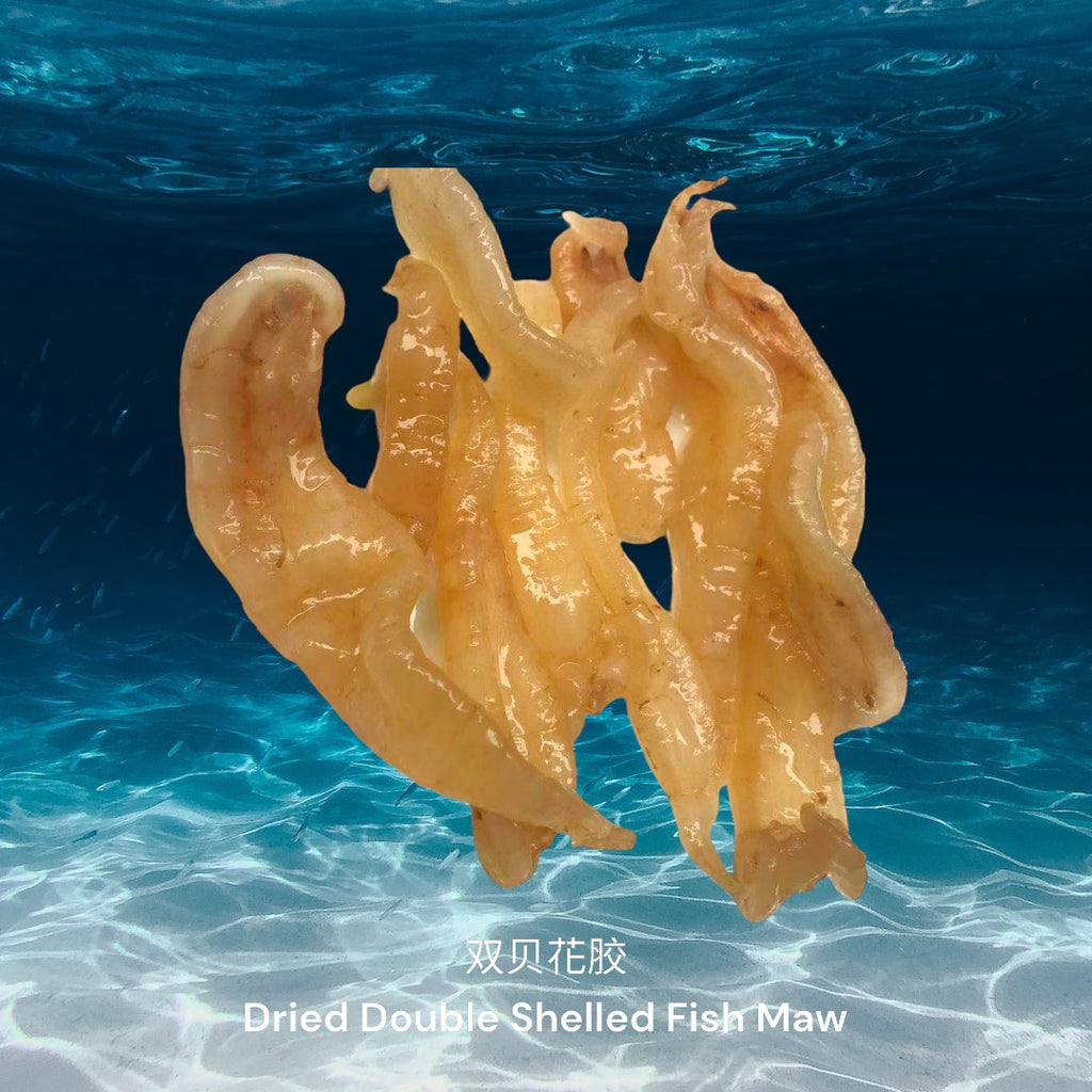 双贝花胶/ Dried Double Shell Fish Maw
