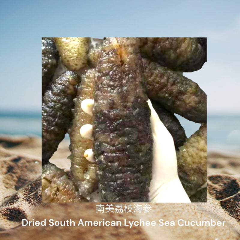南美荔枝海参/ Dried South American Lychee Sea Cucumber