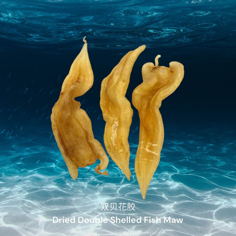 双贝花胶/ Dried Double Shell Fish Maw