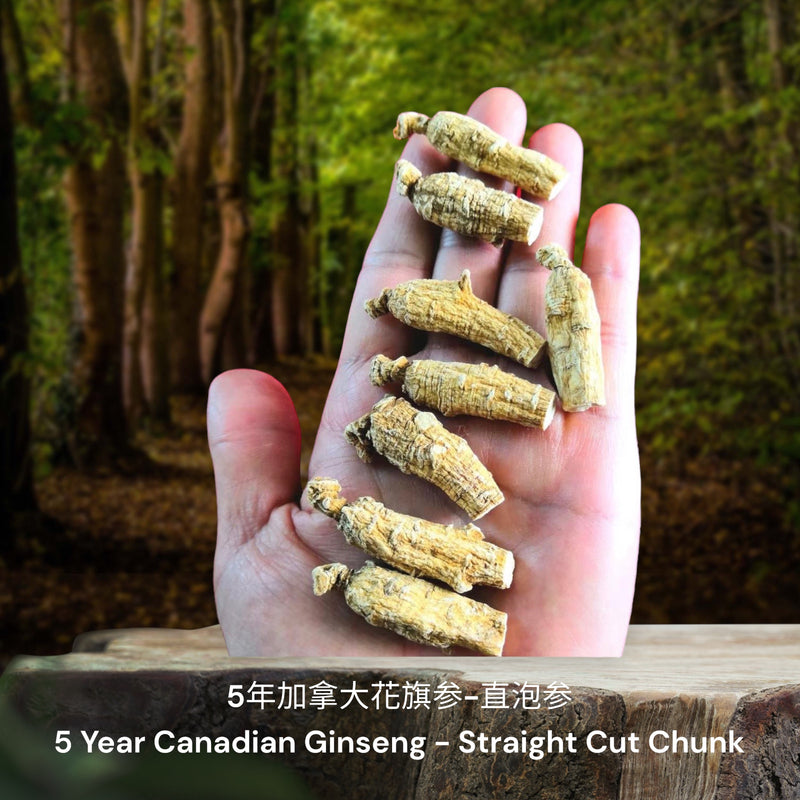 5年加拿大花旗参-直泡参/ 5 Year Canadian Ginseng - Straight Cut Chunk