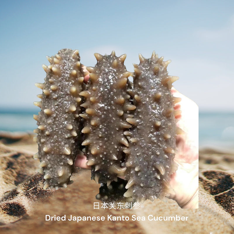 日本关东刺参 / Dried Japanese Kanto Sea Cucumber