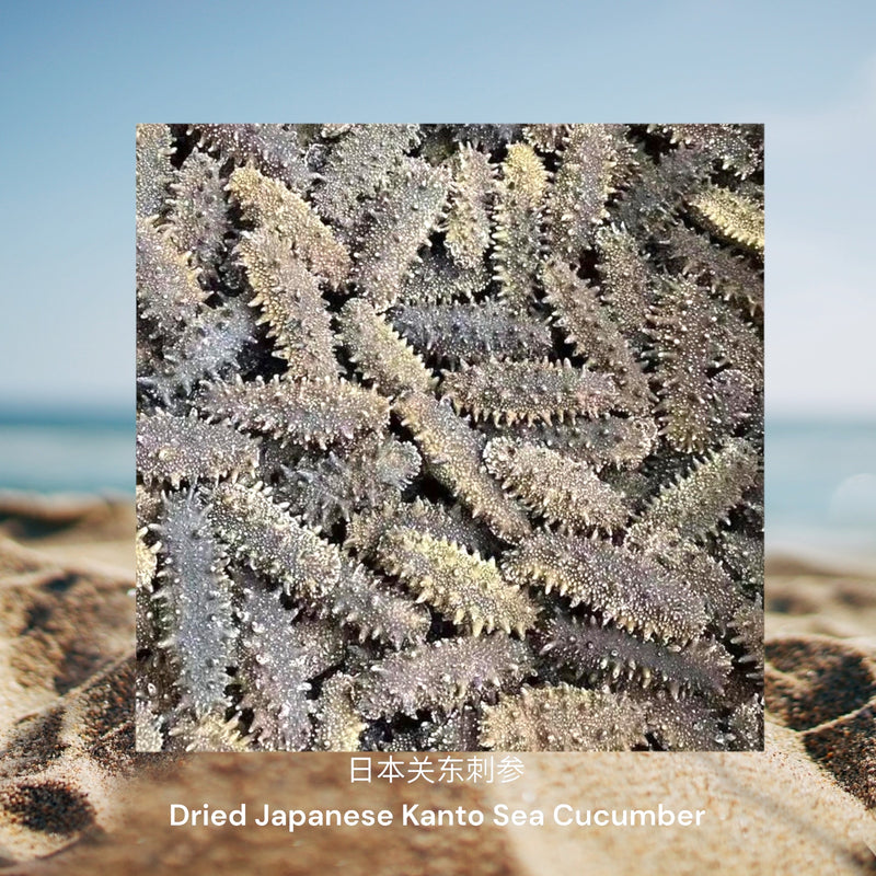 日本关东刺参 / Dried Japanese Kanto Sea Cucumber