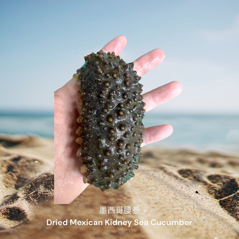 墨西哥腰参 / Dried Mexican Kidney Sea Cucumber