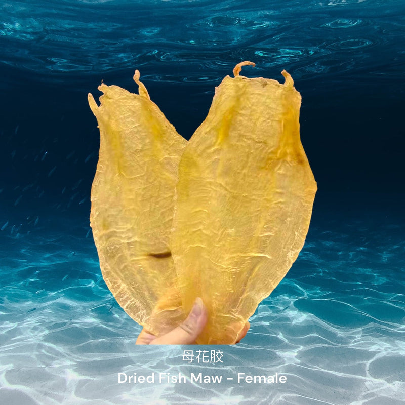 北海花胶-母/ Dried Northern Sea Fish Maw - Female