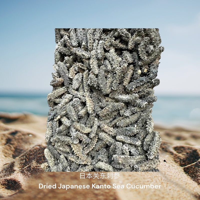 日本关东刺参 / Dried Japanese Kanto Sea Cucumber