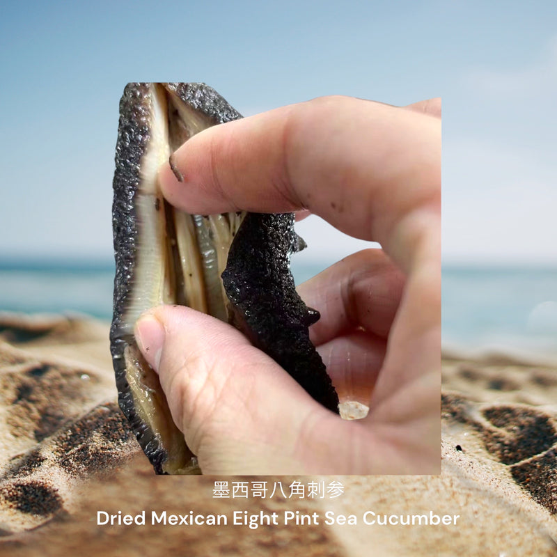 墨西哥八角刺参 / Dried Mexican Eight Pint Sea Cucumber