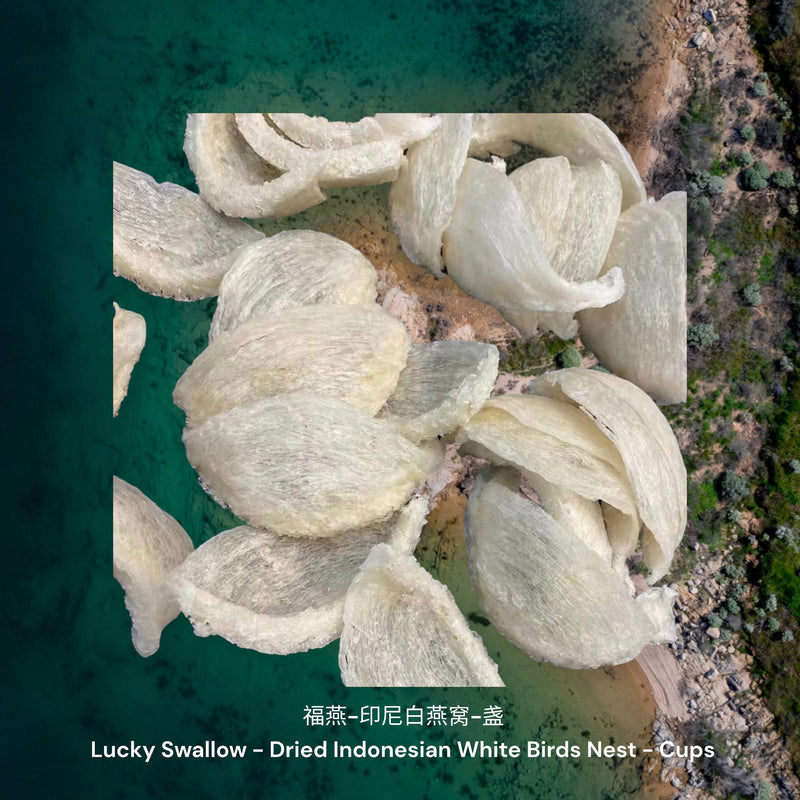 福燕-印尼白燕窝-盏 / Lucky Swallow - Dried Indonesian White Birds Nest - Cups