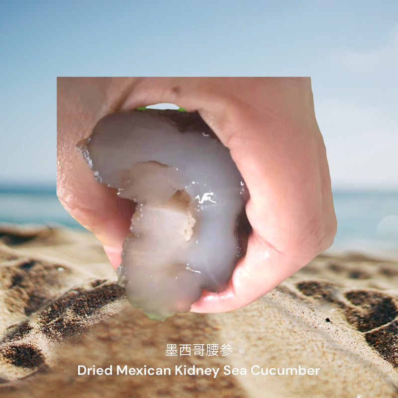 墨西哥腰参 / Dried Mexican Kidney Sea Cucumber