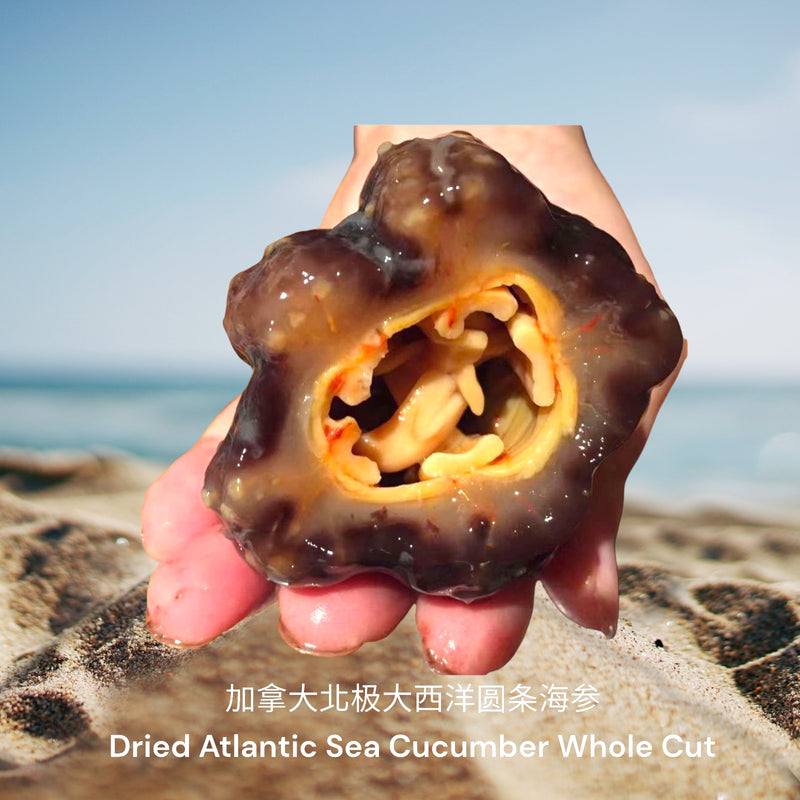 加拿大北极大西洋圆条海参/ Dried Atlantic Sea Cucumber Whole Cut