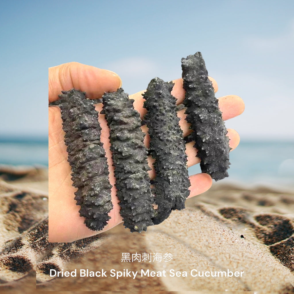 黑肉刺海参/ Dried Black Spiky Meat Sea Cucumber