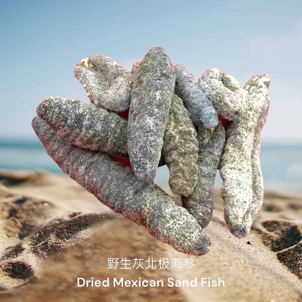野生灰北极海参/  Dried Mexican Sand Fish