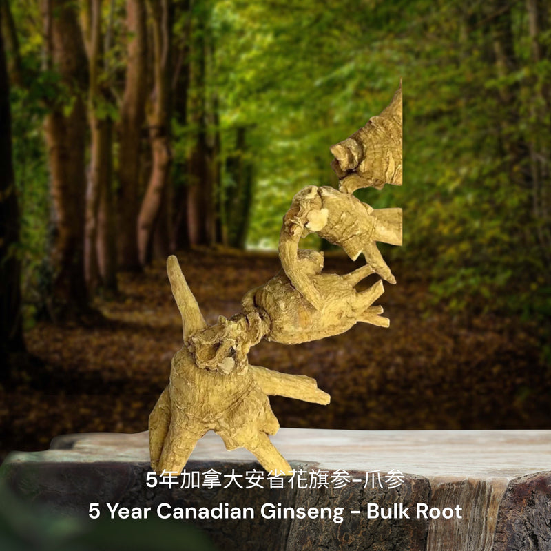 5年加拿大安省花旗参-爪参/ 5 Year Canadian Ginseng - Bulk Root