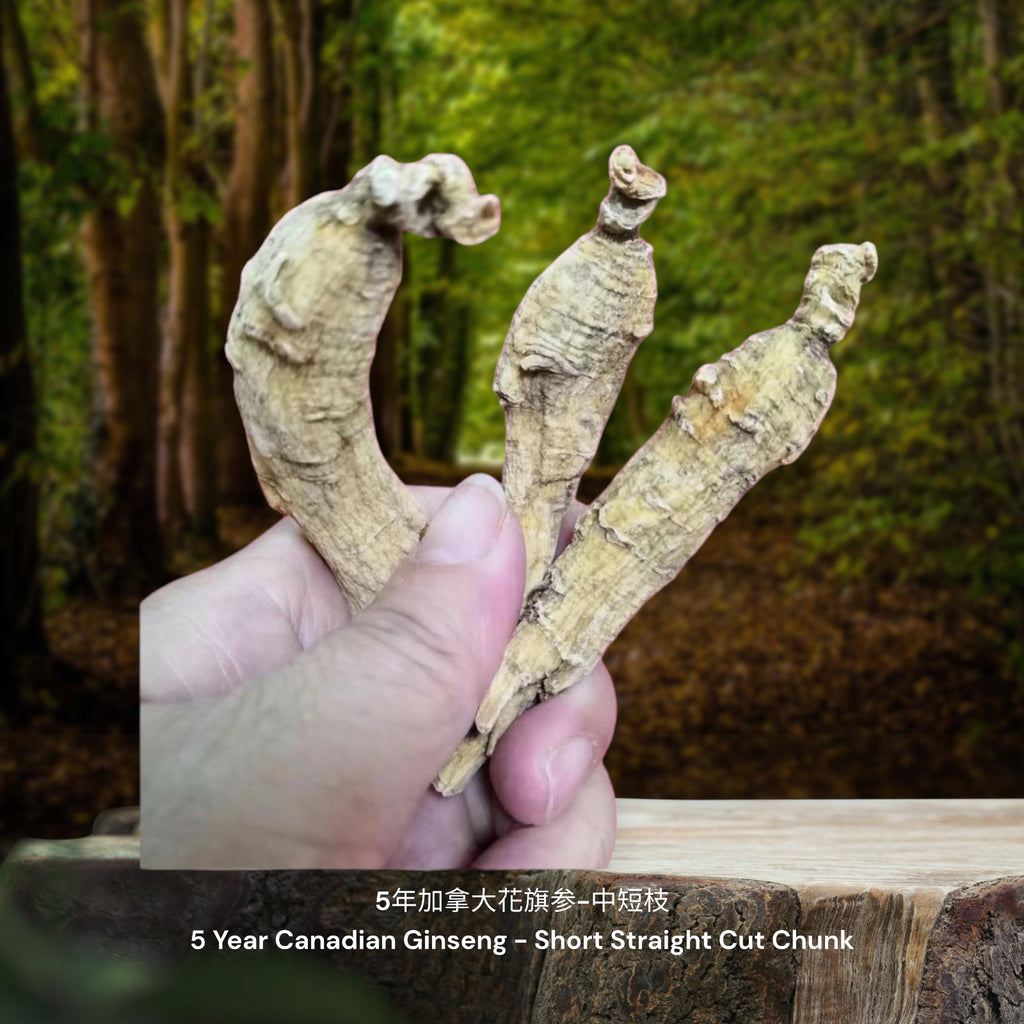 5年加拿大花旗参-中短枝 / 5 Year Canadian Ginseng - Short Straight Cut Chunk