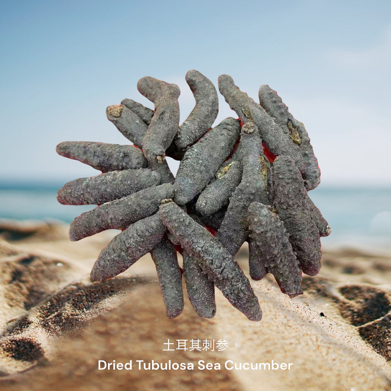 土耳其刺参 / Dried Tubulosa Sea Cucumber