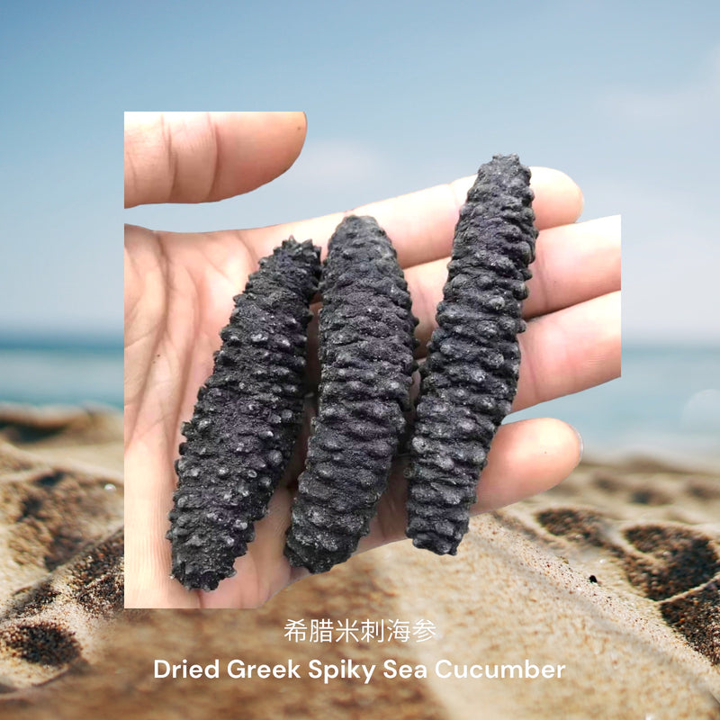 希腊米刺海参/ Dried Greek Spiky Sea Cucumber