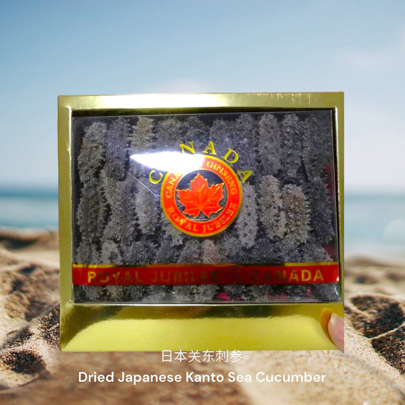 日本关东刺参 / Dried Japanese Kanto Sea Cucumber