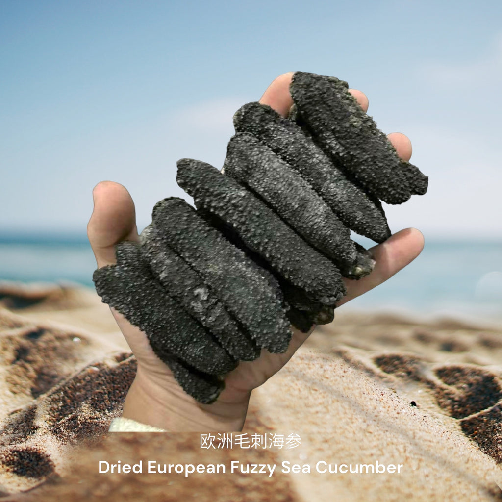 欧洲毛刺海参/ Dried European Fuzzy Sea Cucumber