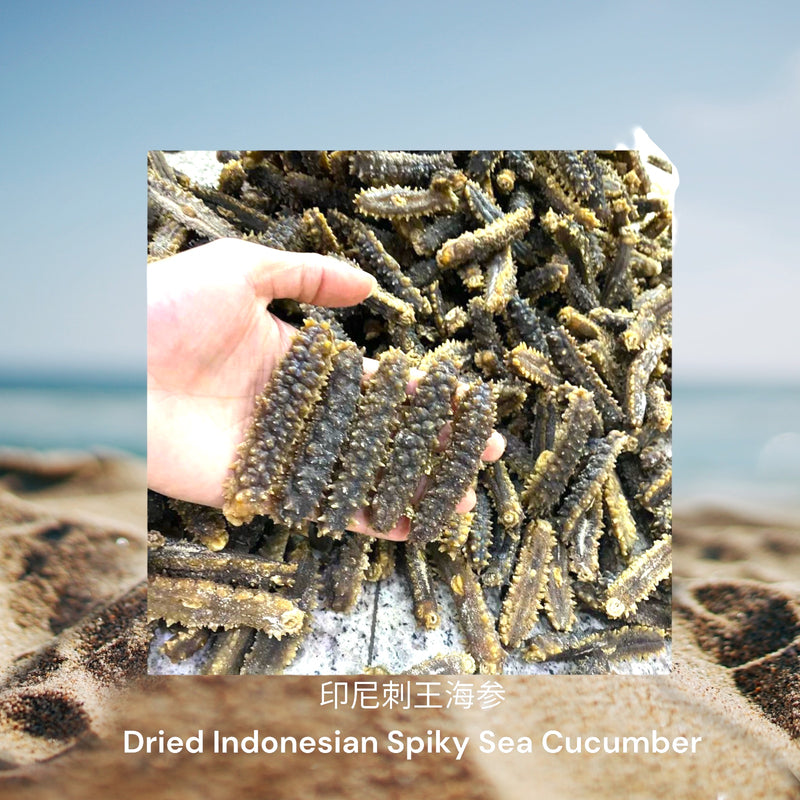 印尼刺王海参/  Dried Indonesian Spiky Sea Cucumber