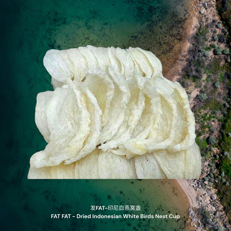 发发-印尼白燕窝盏 / FAT FAT - Dried Indonesian White Birds Nest Cup