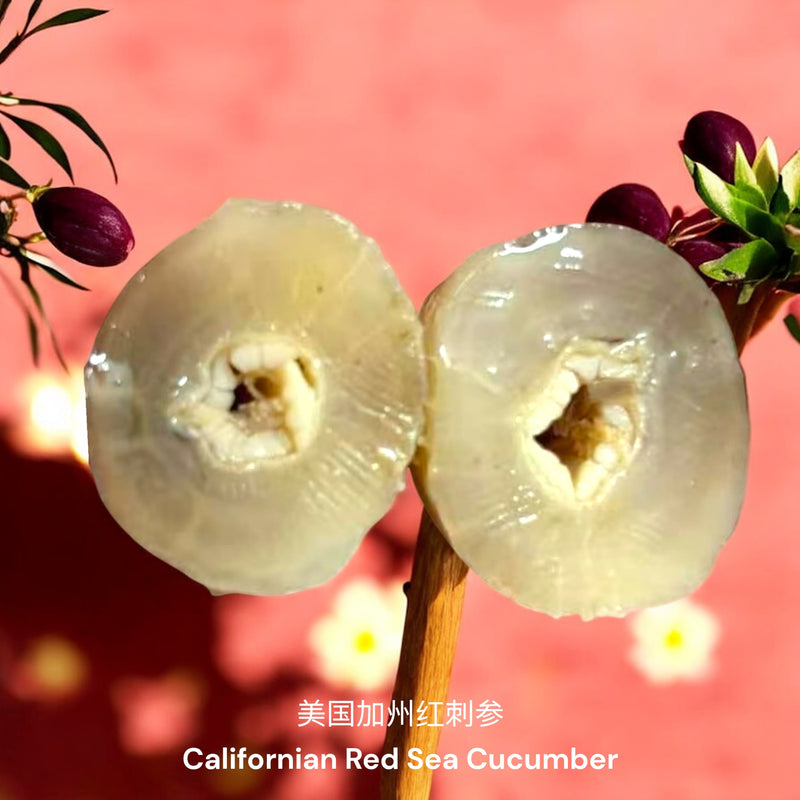 美国加州红刺参 / Dried Californian Red Sea Cucumber