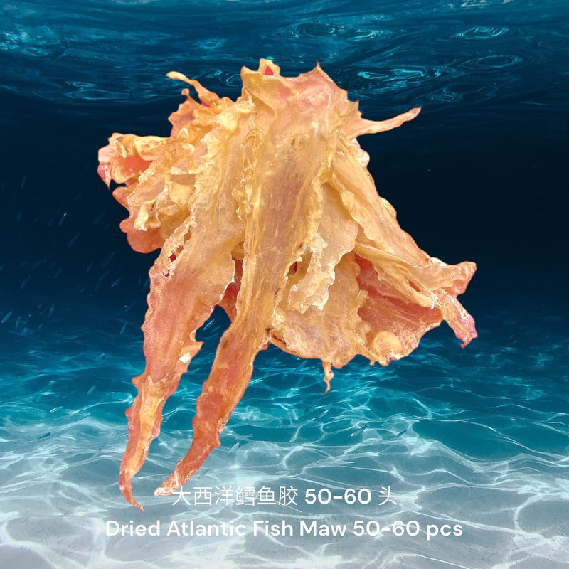 大西洋鳕鱼胶/ Dried Atlantic Cod Fish Maw