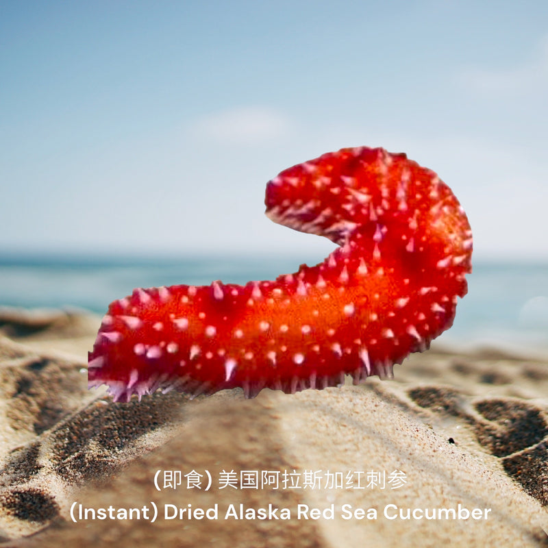 (即食)美国阿拉斯加红刺参 / (Instant) Alaska Red Sea Cucumber