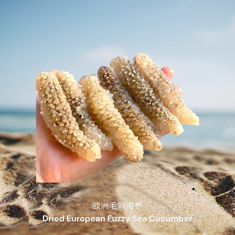 野生印尼小刺王海参/ Dried Wild Indonesian Small Spiky Sea Cucumber