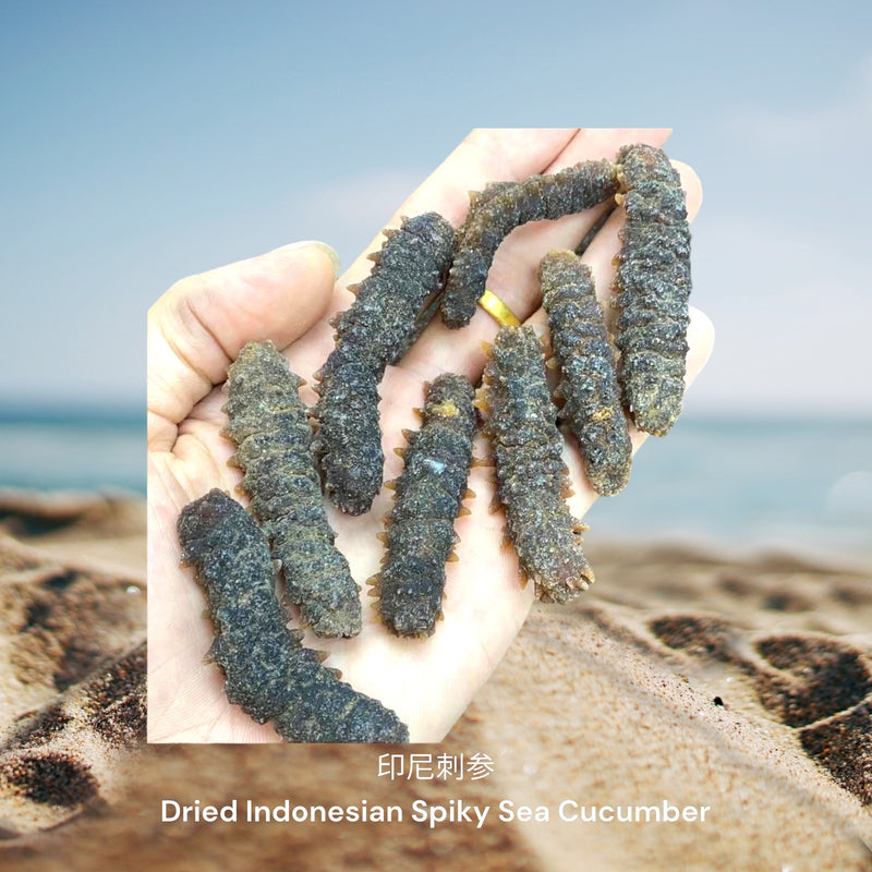 印尼刺参/ Dried Indonesian Spiky Sea Cucumber