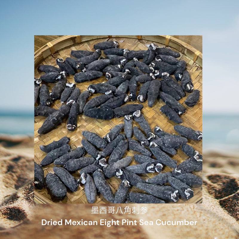 墨西哥八角刺参 / Dried Mexican Eight Pint Sea Cucumber