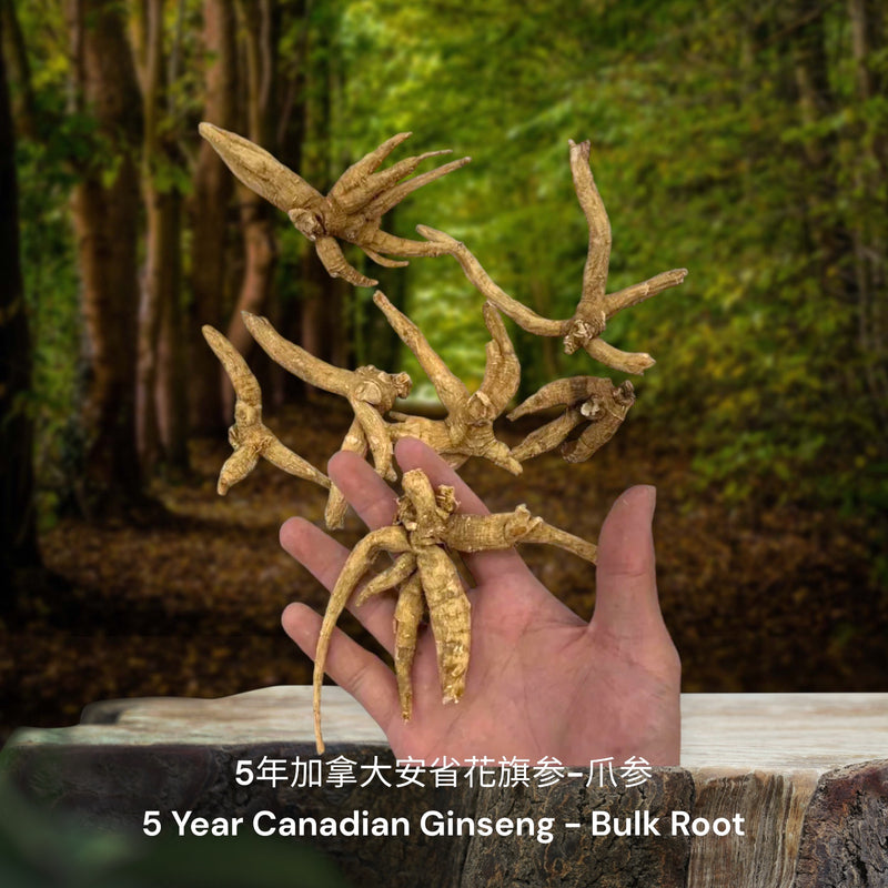 5年加拿大安省花旗参-爪参/ 5 Year Canadian Ginseng - Bulk Root