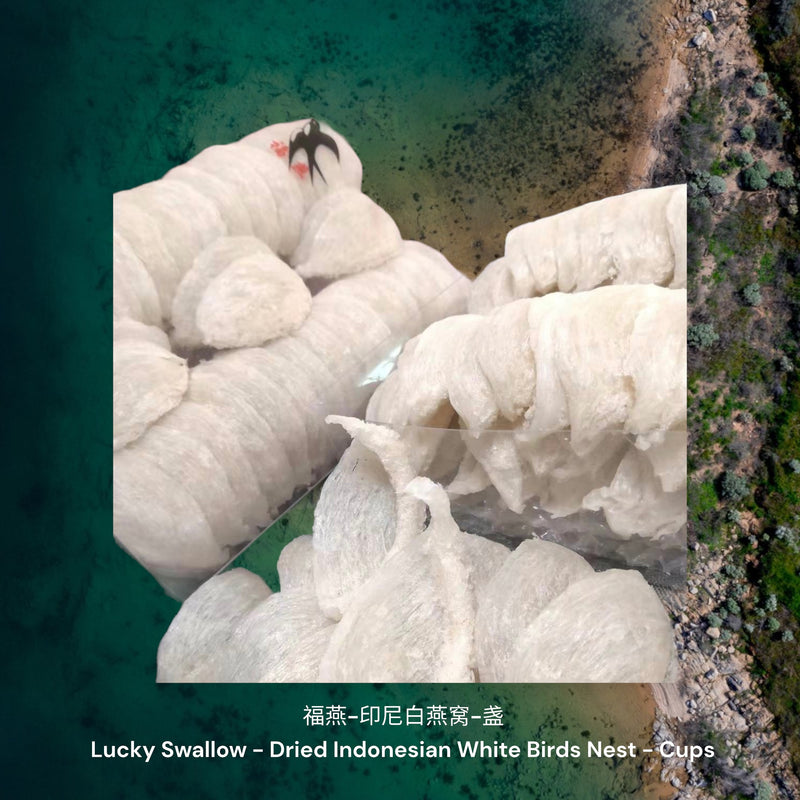 福燕-印尼白燕窝-盏 / Lucky Swallow - Dried Indonesian White Birds Nest - Cups