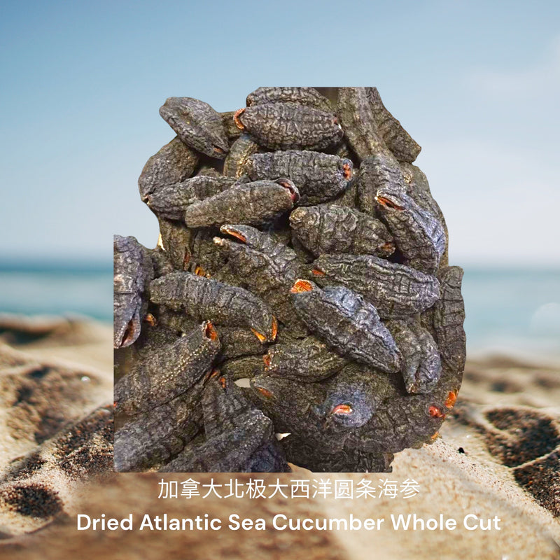 加拿大北极大西洋圆条海参/ Dried Atlantic Sea Cucumber Whole Cut