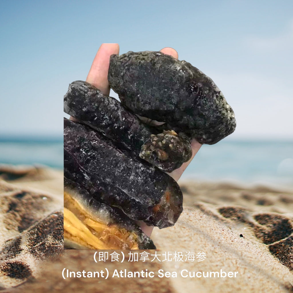 (即食)加拿大北极海参/ (Instant) Atlantic Sea Cucumber