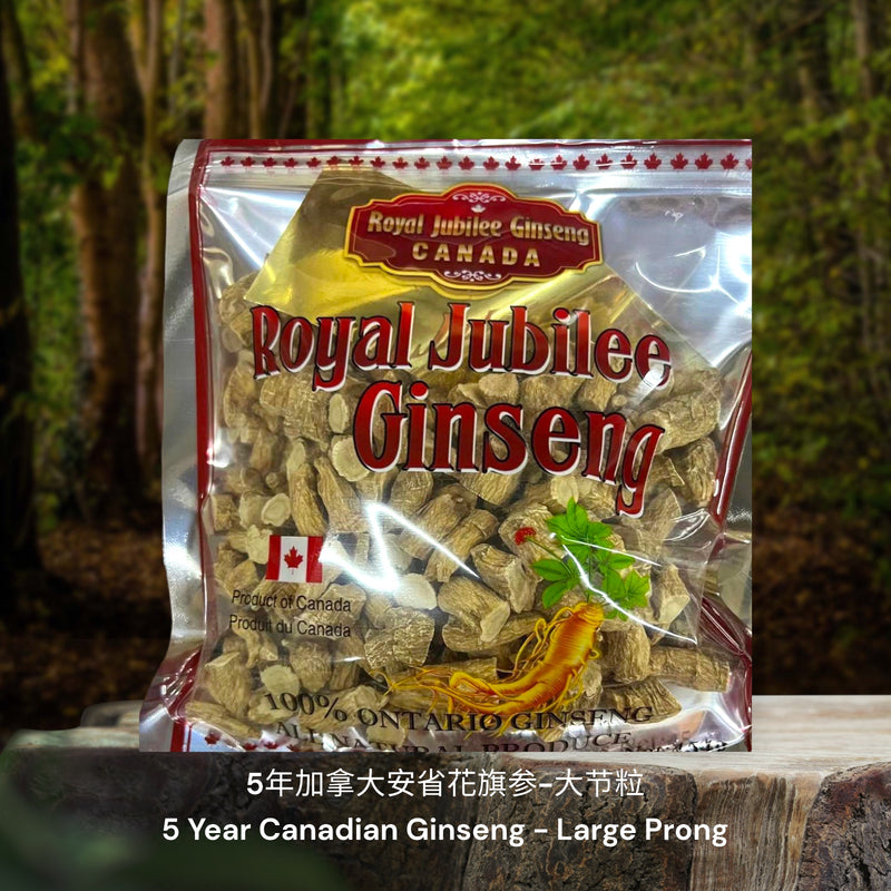 5年加拿大安省花旗参-节粒 / 5 Year Canadian Ginseng - Prong