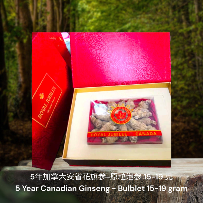 5年加拿大安省花旗参-原粒泡参/ 5 Year Canadian Ginseng - Bulblet
