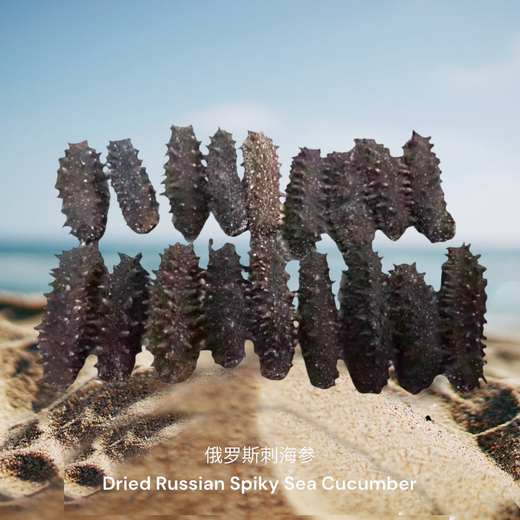 俄罗斯刺海参/ Dried Russian Spiky Sea Cucumber