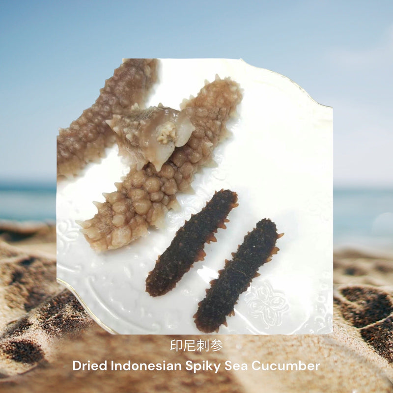 印尼刺海参/ Dried Indonesian Spiky Sea Cucumber