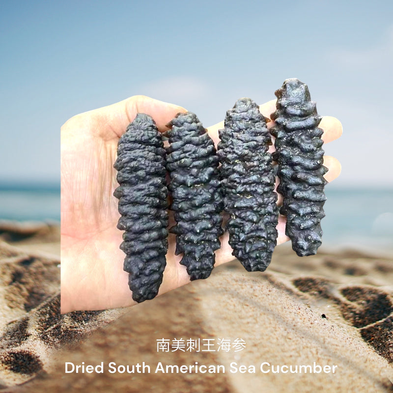 南美刺王海参 / Dried South American Sea Cucumber