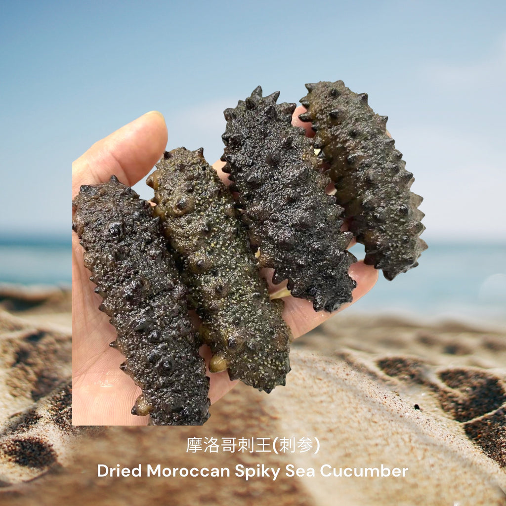 摩洛哥刺王(刺参) / Dried Moroccan Spiky Sea Cucumber