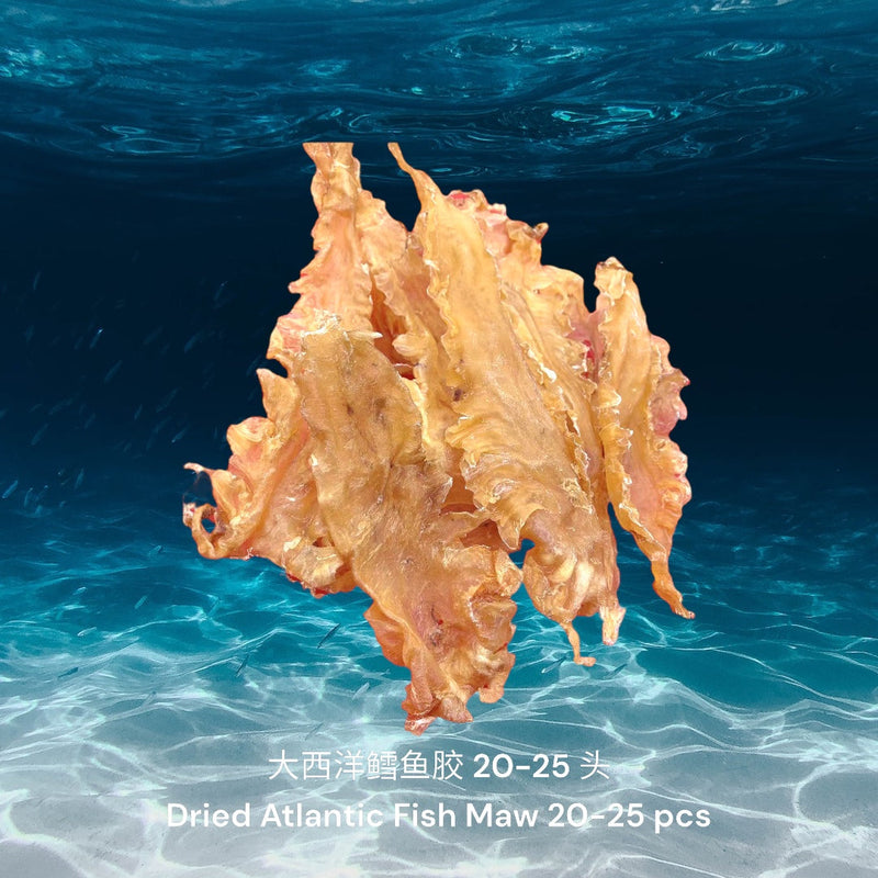 大西洋鳕鱼胶/ Dried Atlantic Cod Fish Maw
