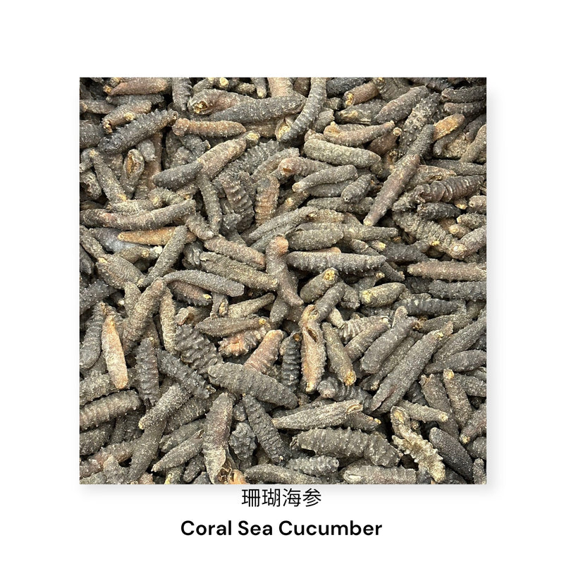 珊瑚海参/  Dried Coral Sea Cucumber
